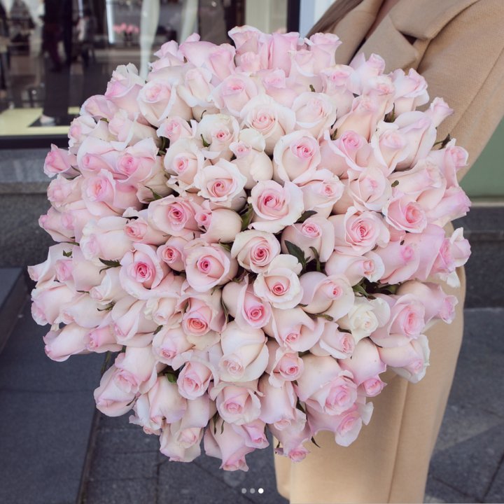 Розы "Пинк бум" в Прокопьевске