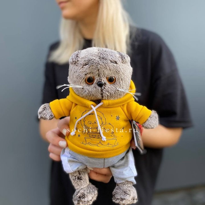 Кот Басик в худи в Прокопьевске