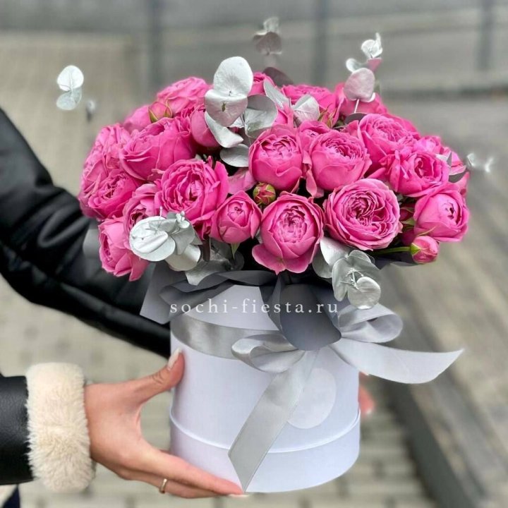 Бокс мисти баблс №2 в Прокопьевске