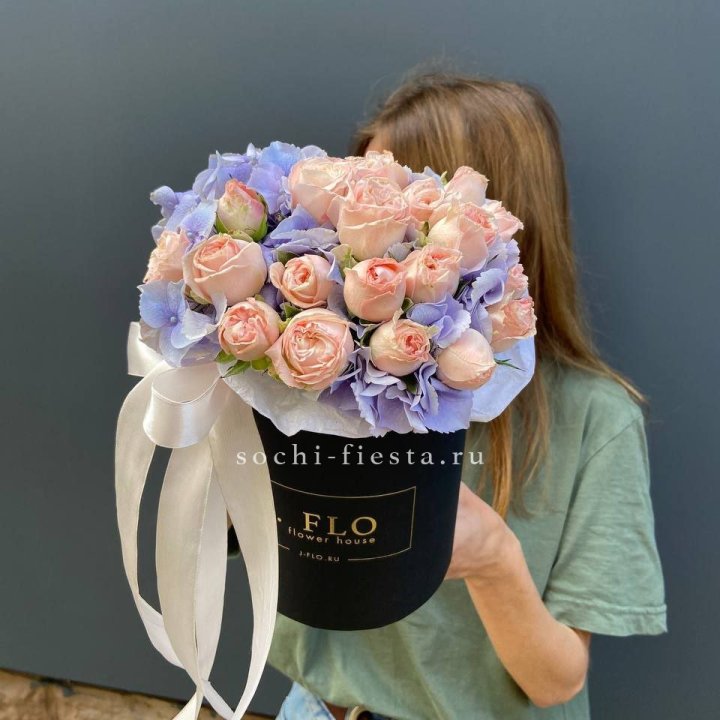 Бокс бомбастик и гортензия в Прокопьевске