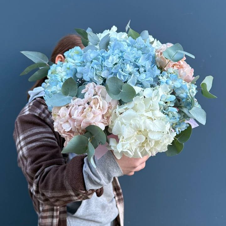 Гортензии в коробочке в Прокопьевске