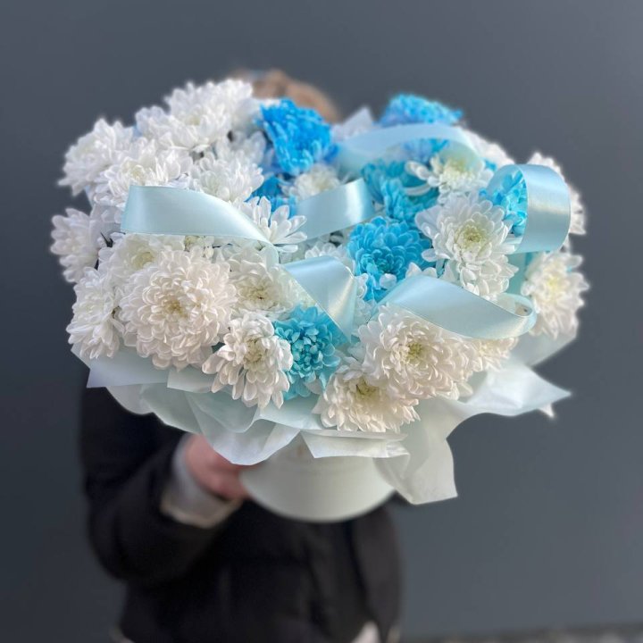 Хризнтемы в боксе в Прокопьевске