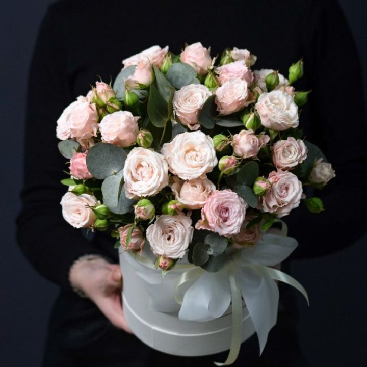 Бомбастик бокс №2 в Прокопьевске