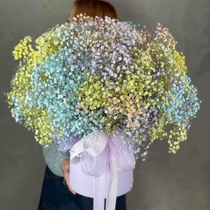 Бокс из гипсафил в Прокопьевске