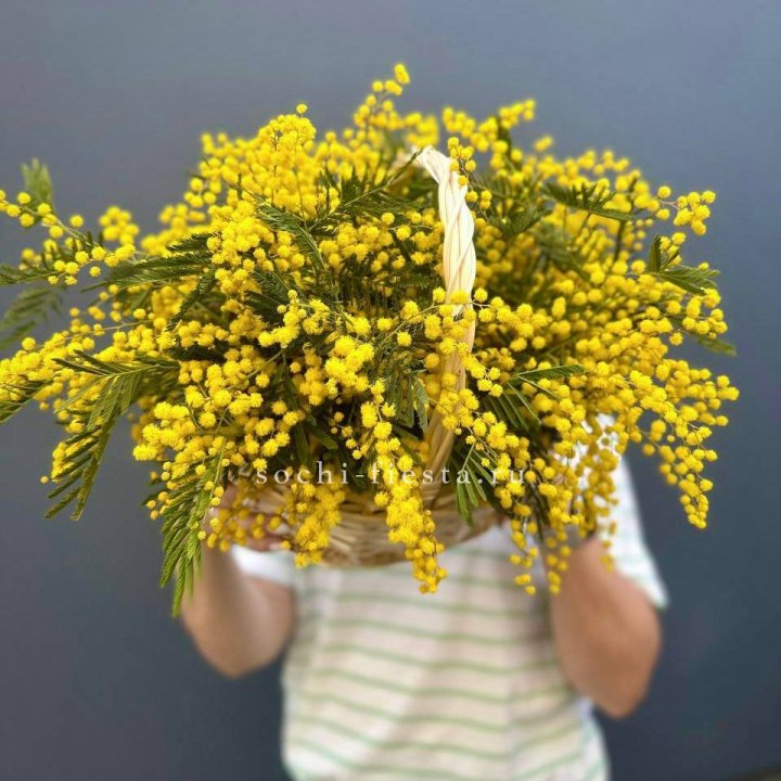 Весенняя корзина мимозы в Прокопьевске