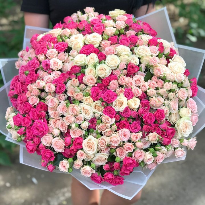 101 кустовая роза в Прокопьевске