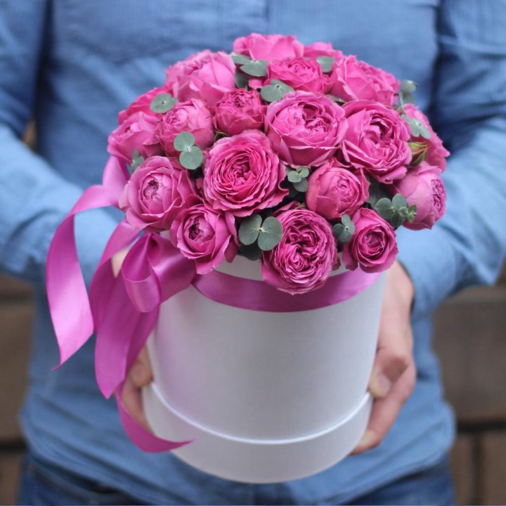 Бокс мисти баблс в Прокопьевске