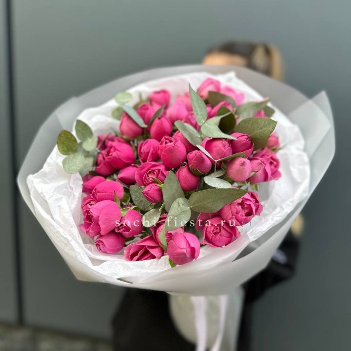 17 Мисти бабблс в Прокопьевске