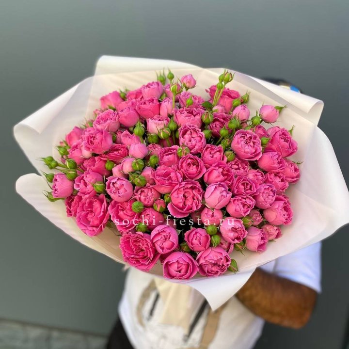 Мисти Баблс 35шт в Прокопьевске