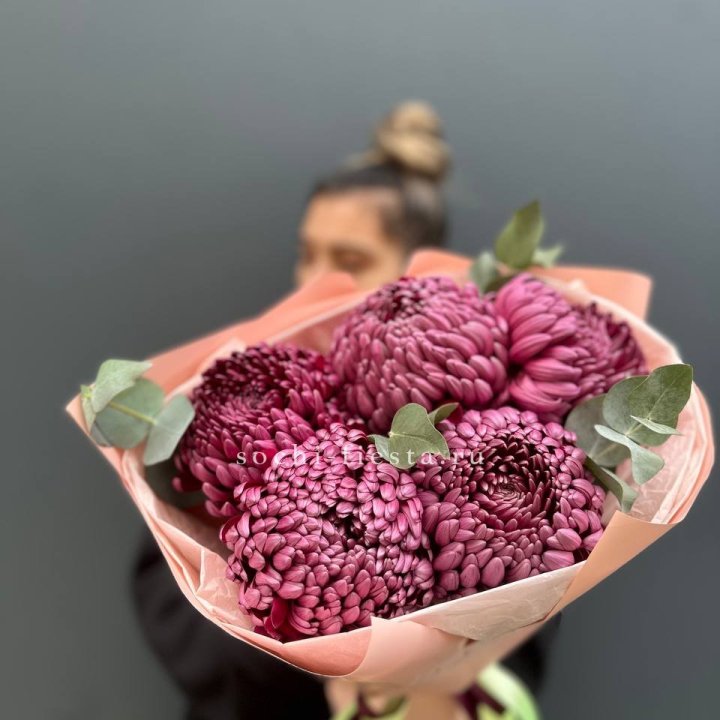 Хризантемы  Бигуди  в Прокопьевске