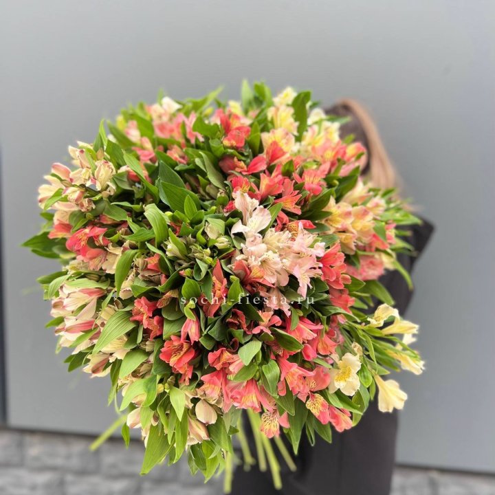 51 альстромерия в Прокопьевске