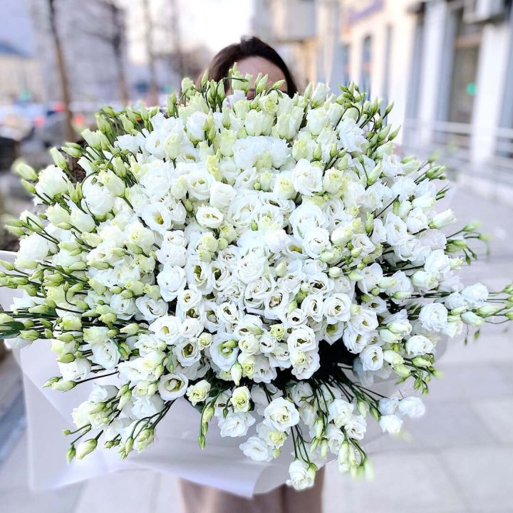 101 белая эустома в Прокопьевске