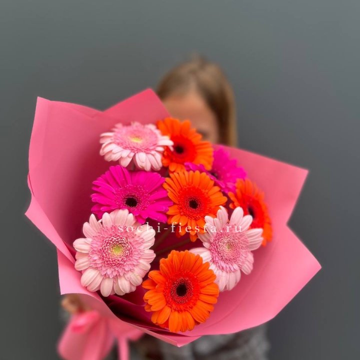 Краски в Прокопьевске