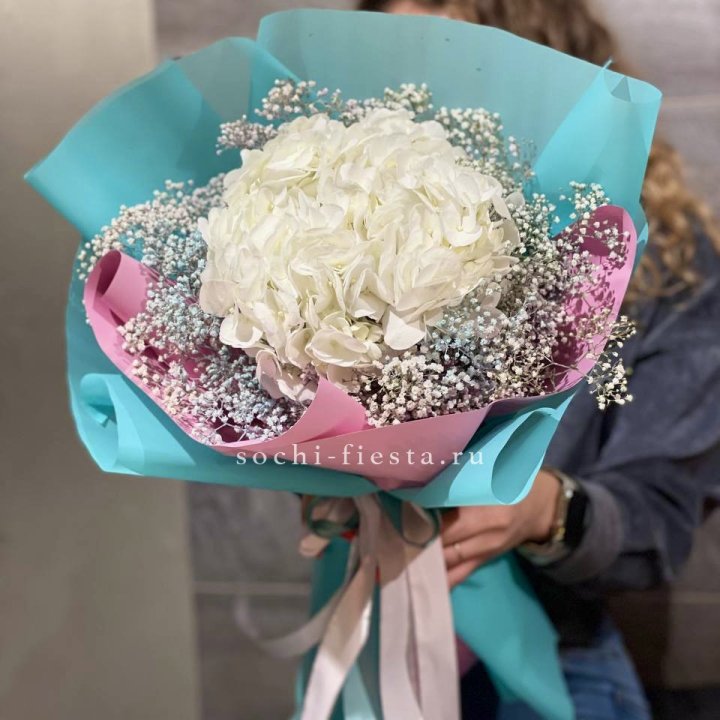 Гортензия "Райдов" в Прокопьевске