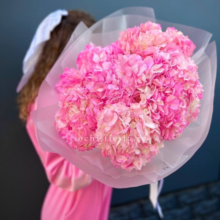 7 ярко розовых гортензий в Прокопьевске