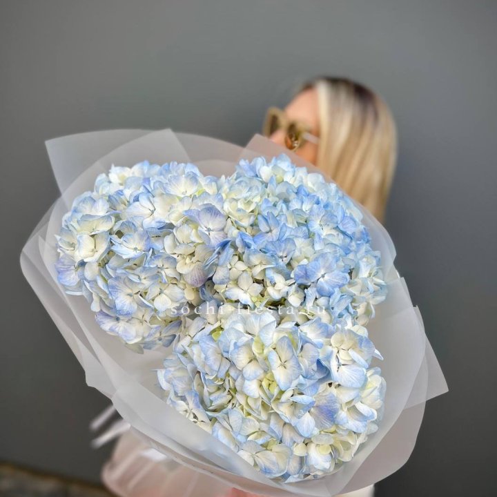 Букет из 3 голубых гортензий  в Прокопьевске