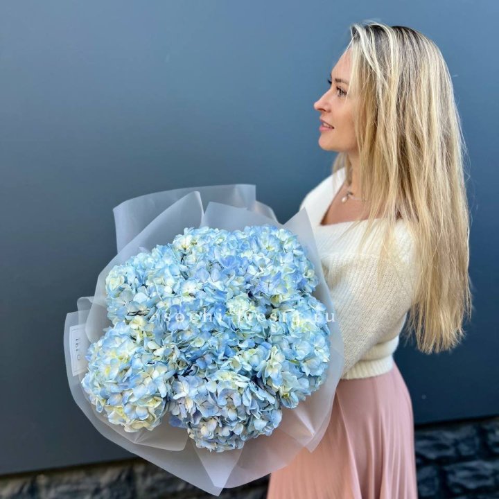 7 голубых гортензий в Прокопьевске
