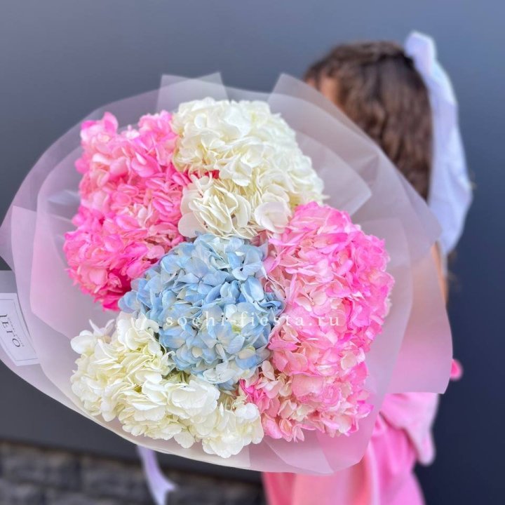 7 гортензий микс в Прокопьевске