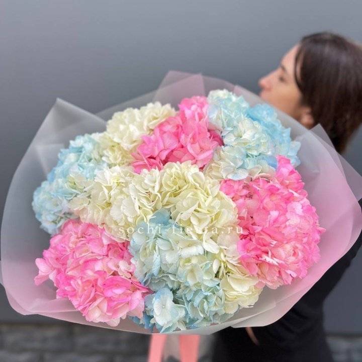 9 гортензий микс в Прокопьевске