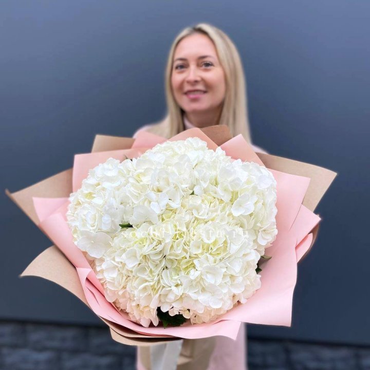 Гортензия белая в Прокопьевске