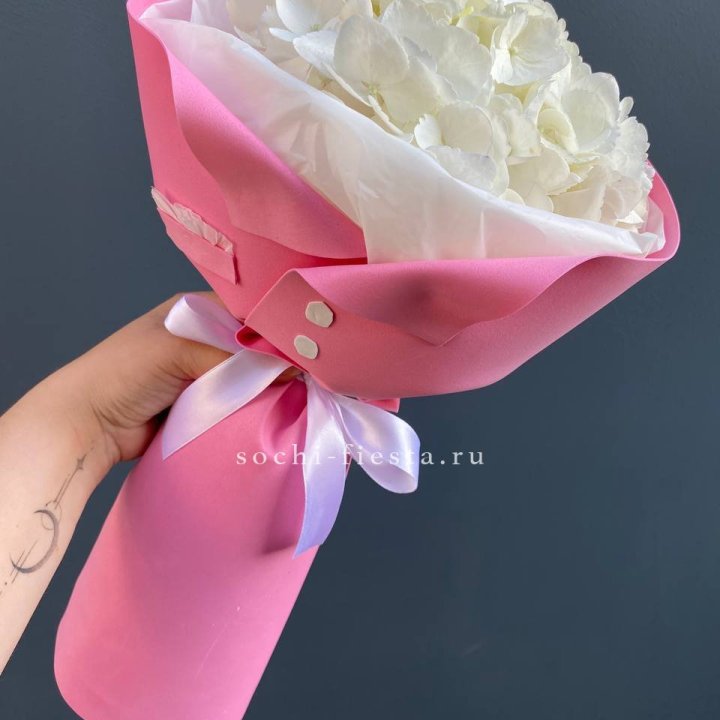 Гортензия в розовом пиджаке в Прокопьевске