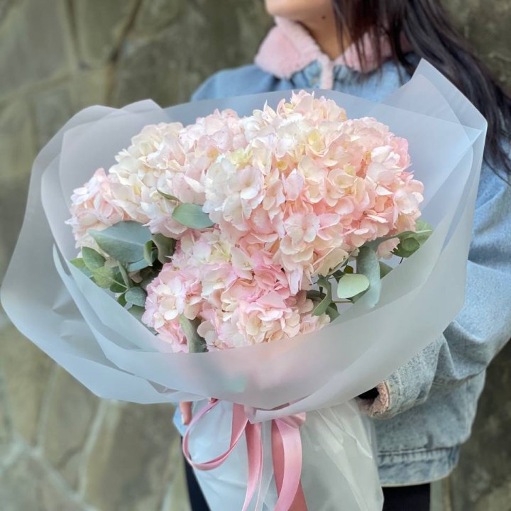 5 розовых гортензий в Прокопьевске