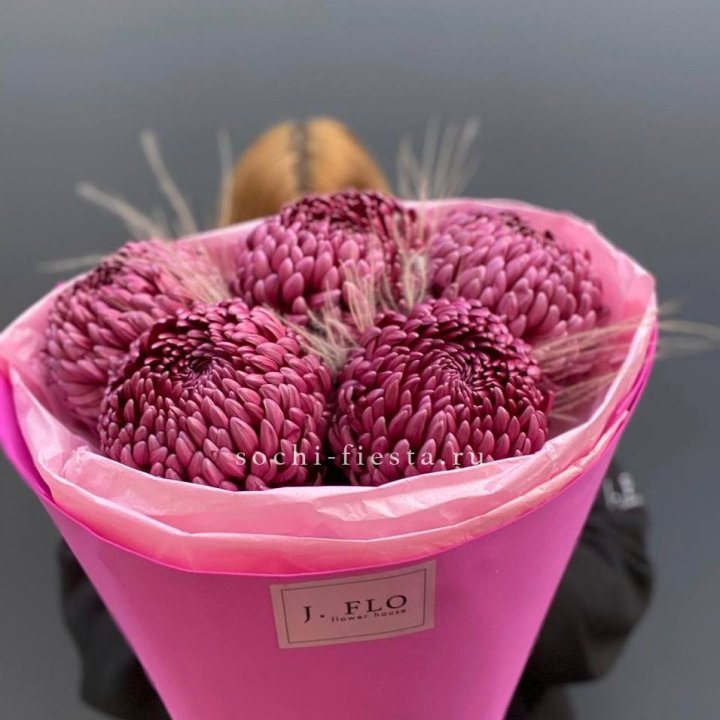 Хризантемы  Бигуди с стифой в Прокопьевске