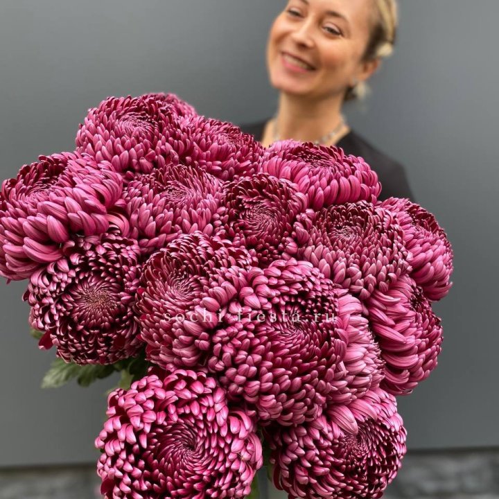 Охапка хризантем Бигуди в Прокопьевске