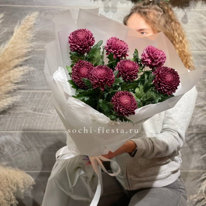 Хризантемы Бигуди в Прокопьевске