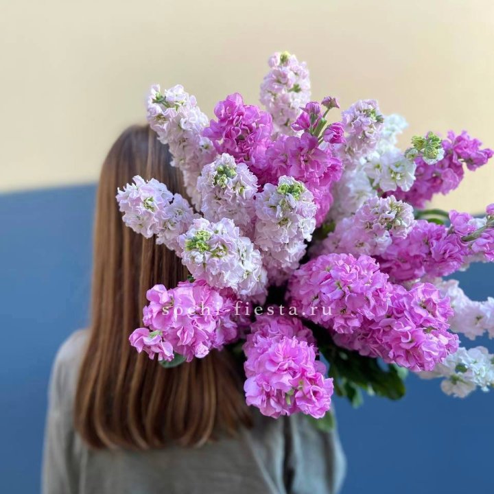 Охапка маттиолы в Прокопьевске