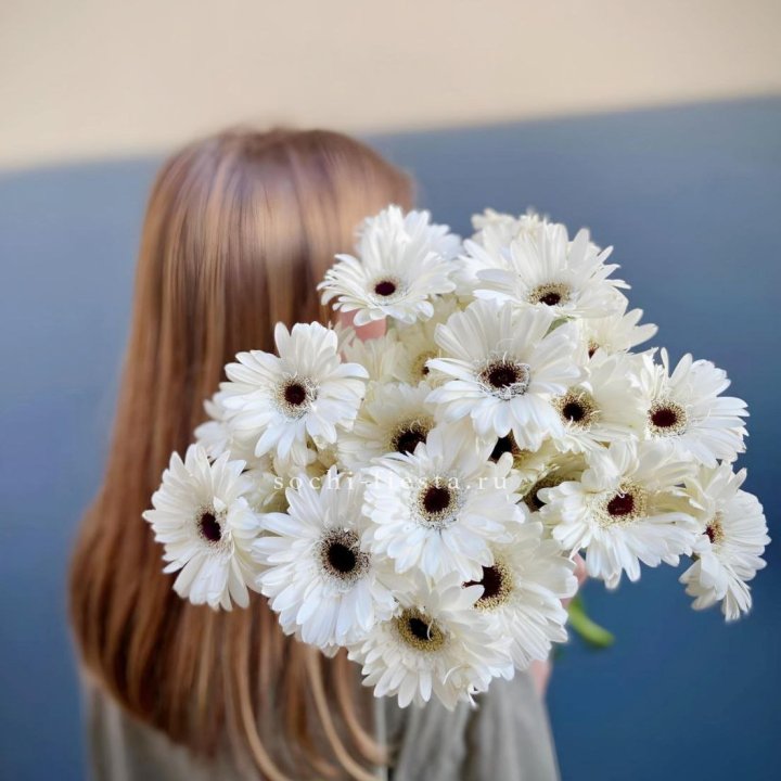 Охапка гербер в Прокопьевске