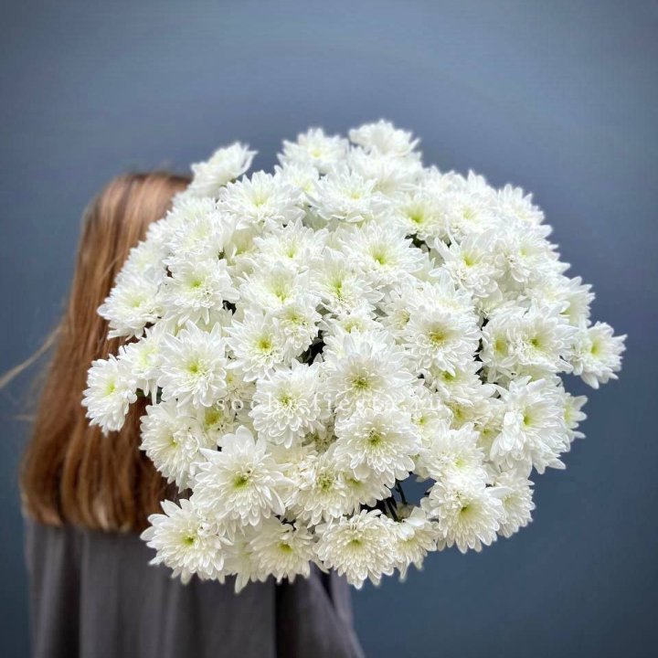 Охапка Хризантемы кустовой в Прокопьевске