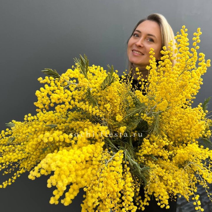 Охапка мимозы №2 в Прокопьевске