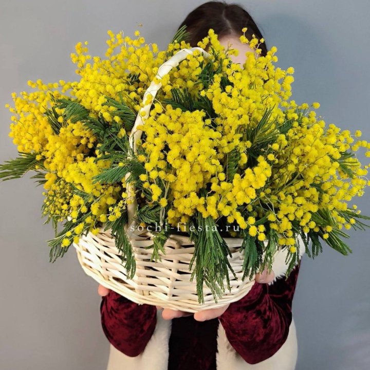 Корзина ароматной мимозы в Прокопьевске