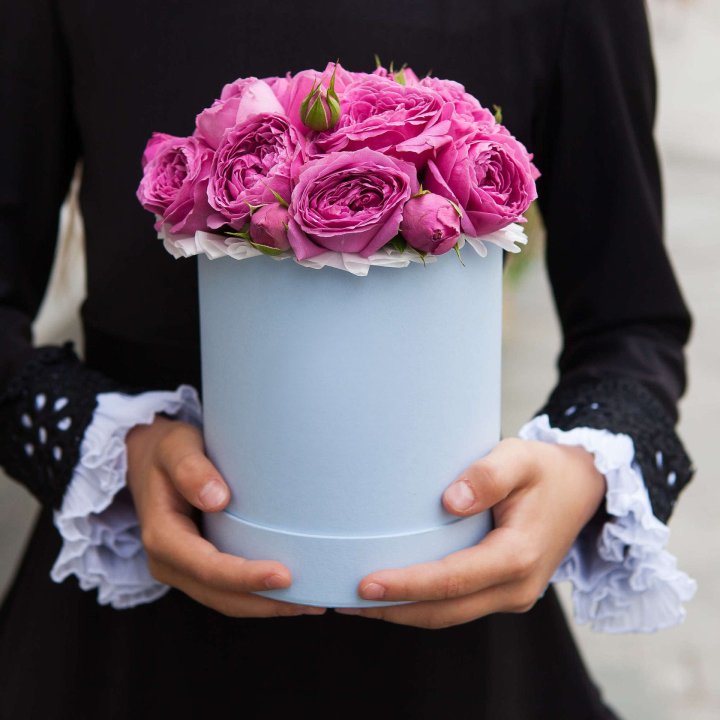 Бокс мини мисти в Прокопьевске