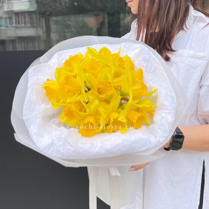 Нарциссы 25 шт в Прокопьевске