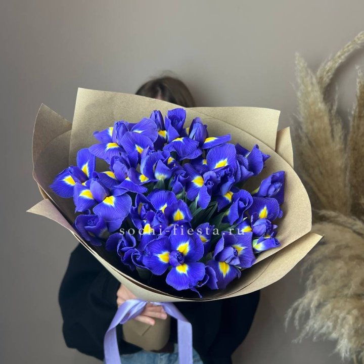 Ирисы в Прокопьевске