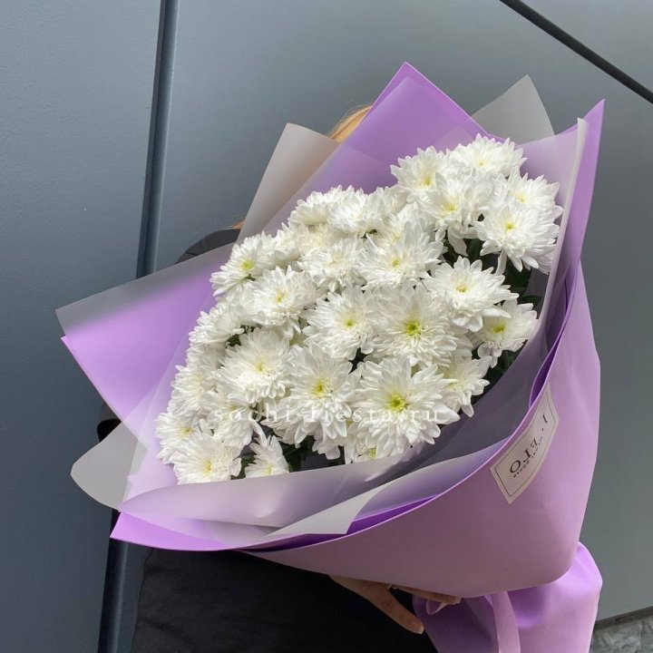  7 хризантем  в Прокопьевске