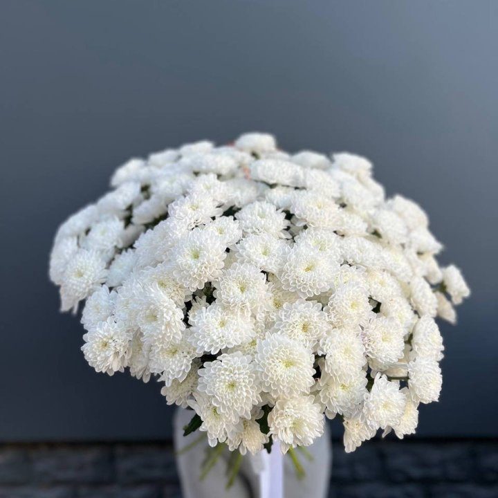  25 хризантем белых в Прокопьевске