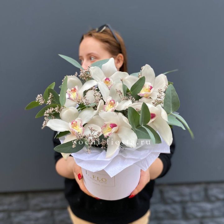 7 орхидей в боксе в Прокопьевске