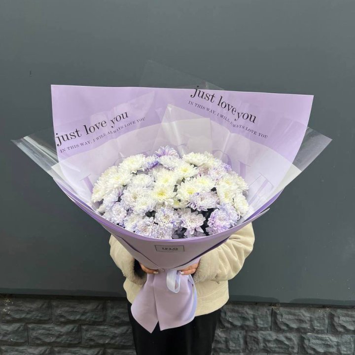 9 воздушных хризантем в Прокопьевске