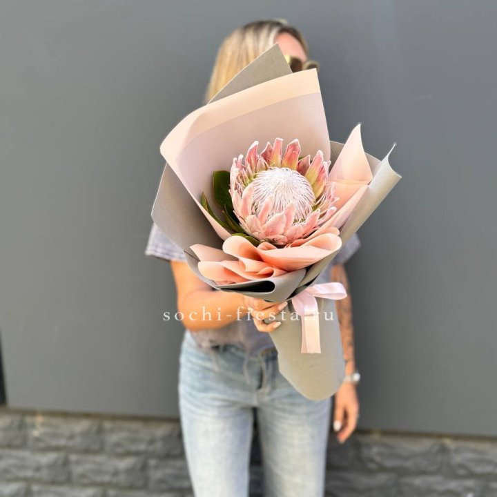 Протея мини  в Прокопьевске