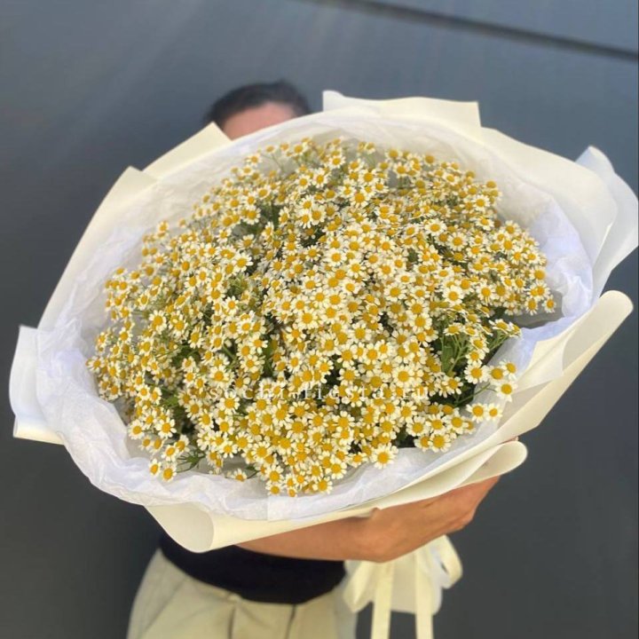 Букет ромашек №2 в Прокопьевске