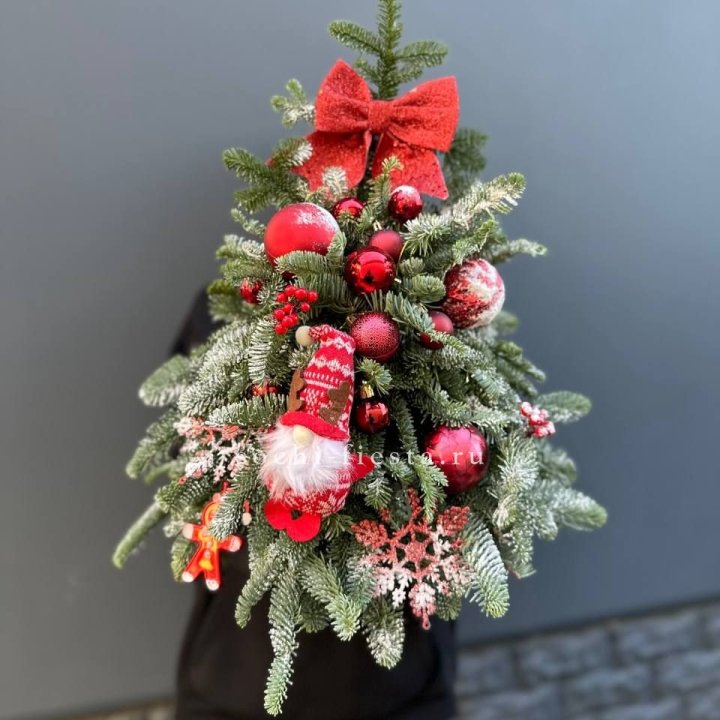 Новогодняя елочка "Ред" в Прокопьевске