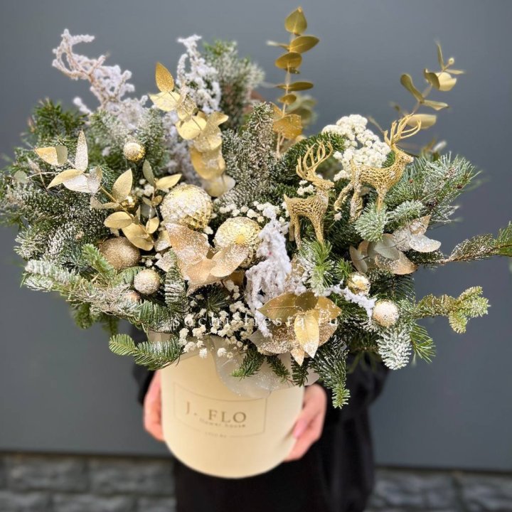 Золотой бокс с нобилисом в Прокопьевске