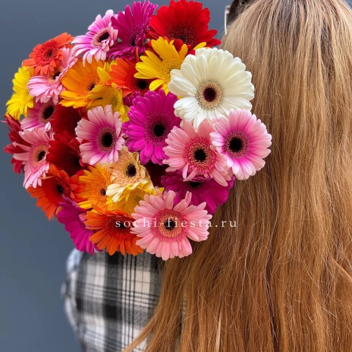 Охапка гербер  в Прокопьевске