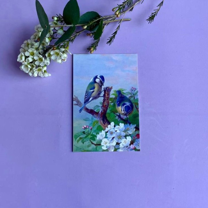 Открытка к букету "Птицы" в Прокопьевске