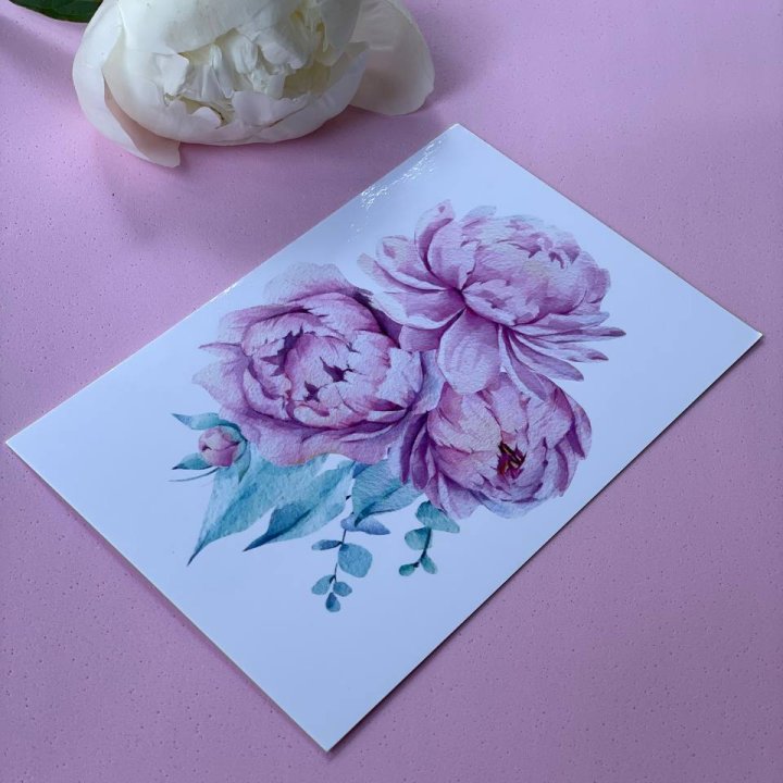 Открытка к букету "Пионы" в Прокопьевске