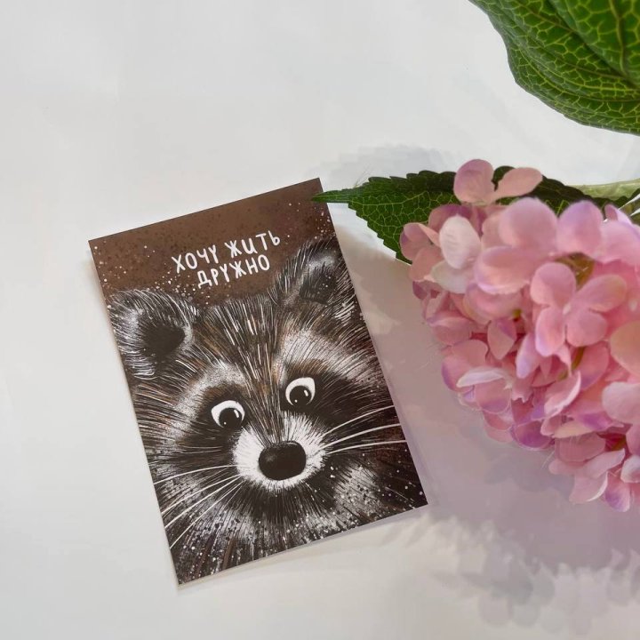 Открытка к букету "Енотик" в Прокопьевске