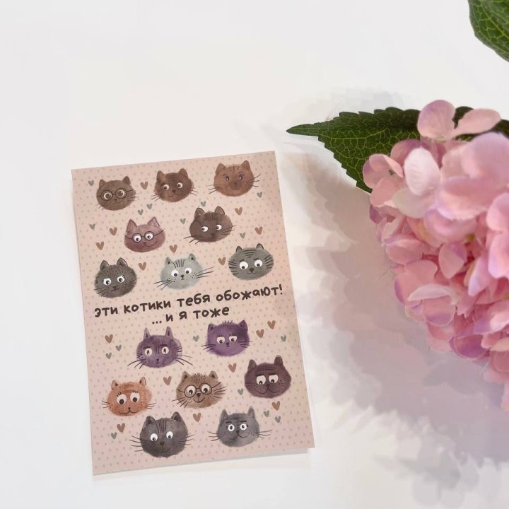 Открытка к букету "Котики" в Прокопьевске